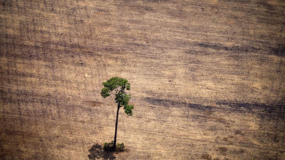 L’environnement, une aubaine pour les criminels