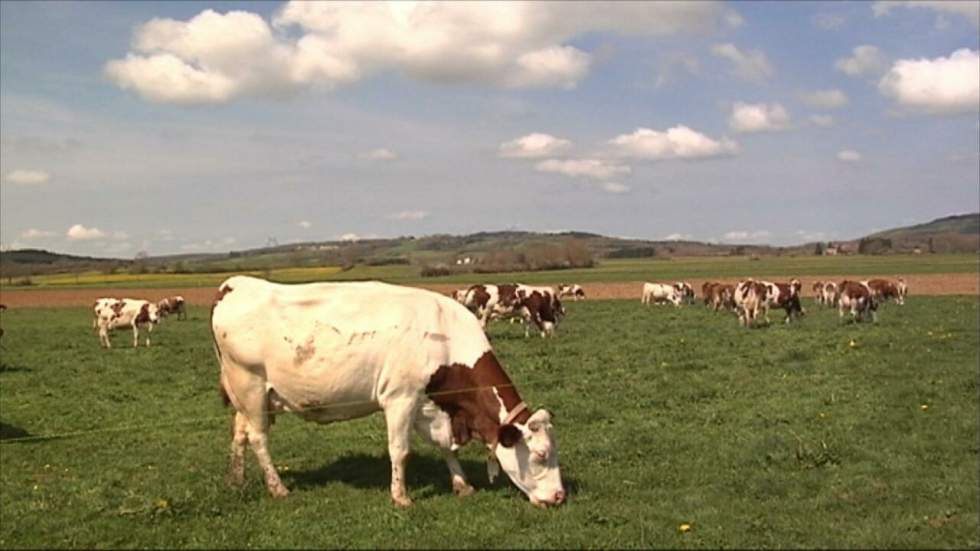 Changement climatique : quelle agriculture dans un monde réchauffé ?