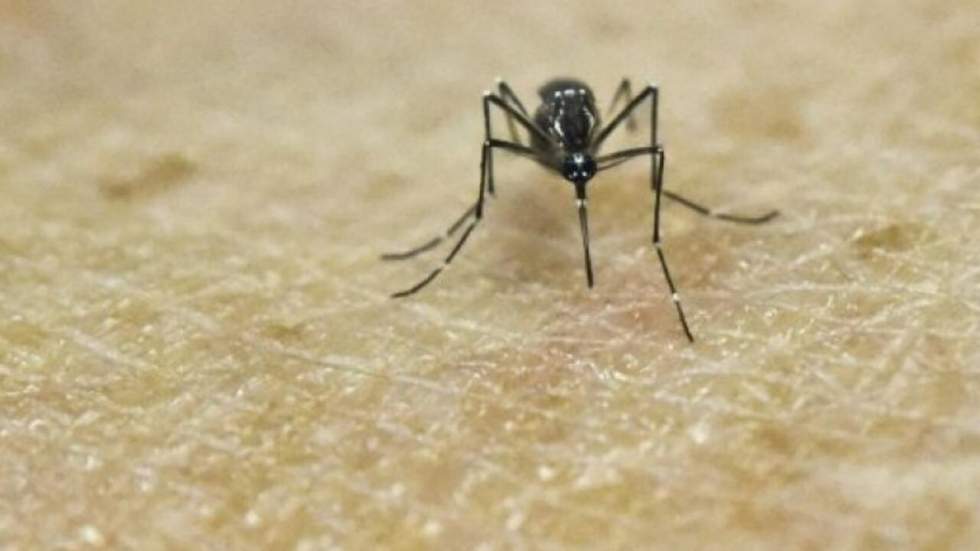 Le virus Zika se propage "de manière explosive"