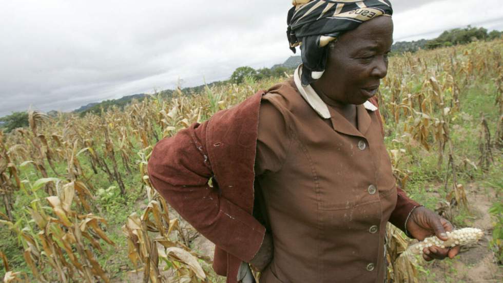 Météo, choix politiques et sanctions : les raisons de "l'état de catastrophe naturelle" au Zimbabwe