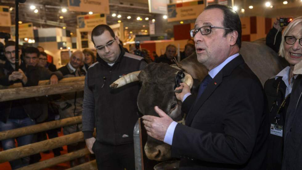 Salon de l’agriculture et politiques, une histoire d’amour vache Salon de l’agriculture et politiques, une histoire d’amour vache