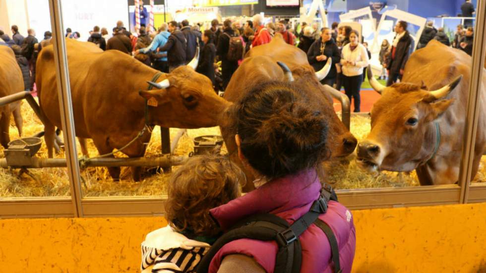 Salon de l’agriculture : adieu veaux, vaches, cochons...