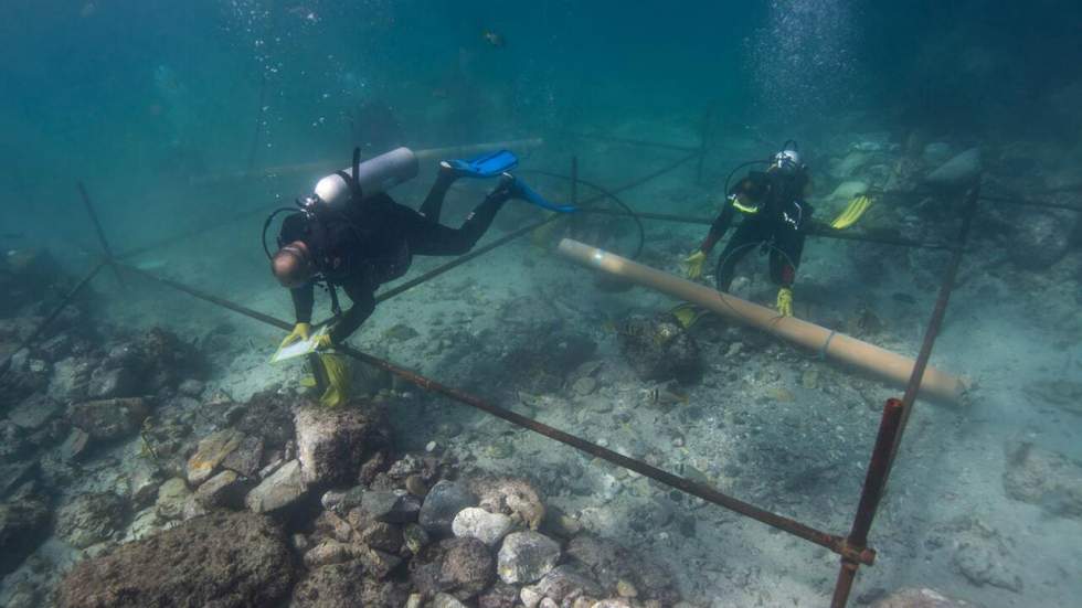 Des archéologues découvrent une épave de la flotte de Vasco de Gama pleine de trésors