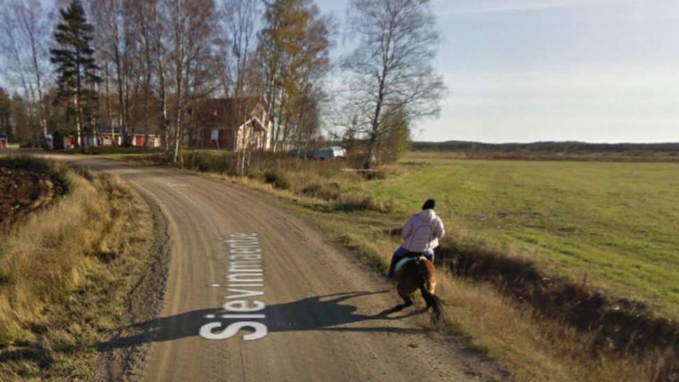 Le cheval, c'est trop génial, sauf quand passe la voiture de Google Street View