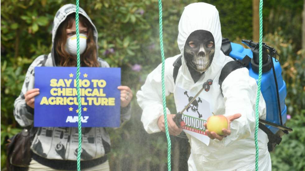 Environnement : les conclusions divergentes des études sur le glyphosate Environnement : les conclusions divergentes des études sur le glyphosate