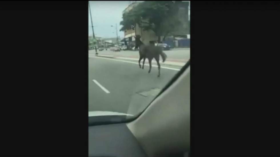 Un cheval galope sur une autoroute malaisienne sous les yeux ébahis des conducteurs