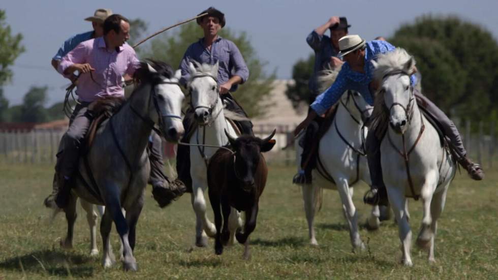 La Camargue dans le sillage de ses gardiens