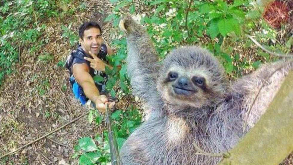 Une perche à selfie sert enfin à réaliser quelque chose de bien Une perche à selfie sert enfin à réaliser quelque chose de bien
