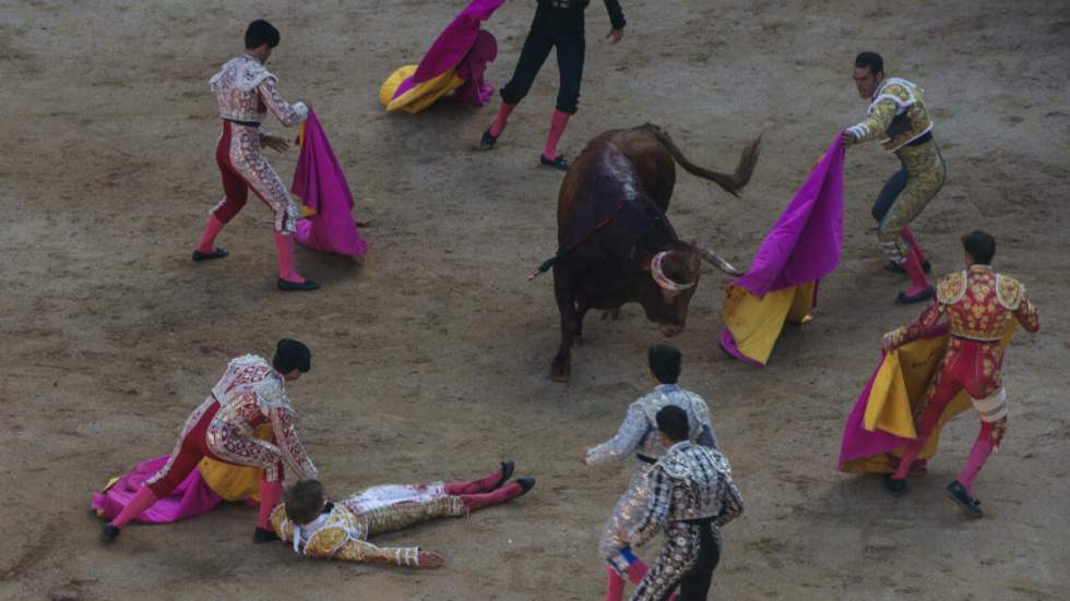 Espagne : un jeune torero meurt dans l'arène après le coup de corne d'un taureau