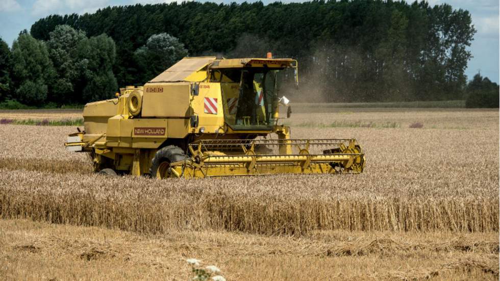 Exportation de blé : la France va perdre sa place de leader au profit de l'Allemagne Exportation de blé : la France va perdre sa place de leader au profit de l'Allemagne