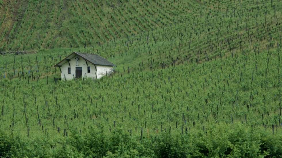 De Pupillin à Château-Chalon, échappée dans le vignoble jurassien