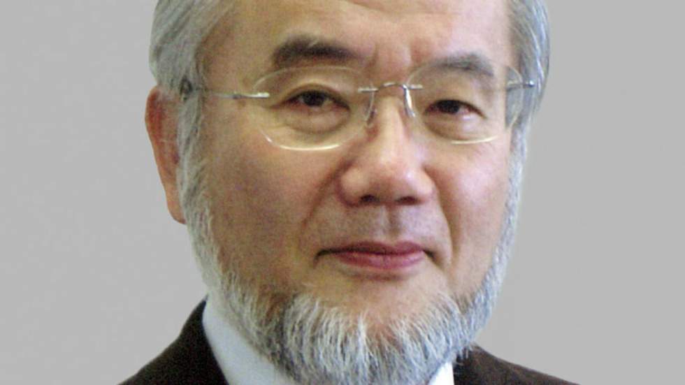 Le prix Nobel de médecine attribué à Yoshinori Ohsumi pour ses recherches sur l'autophagie