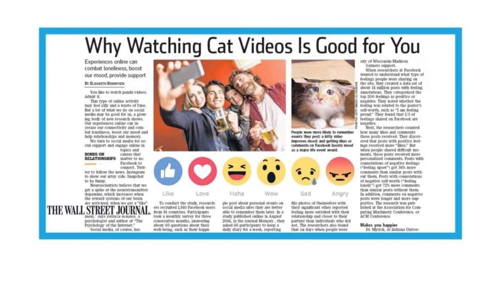 "Le bonheur simple des vidéos de chats"