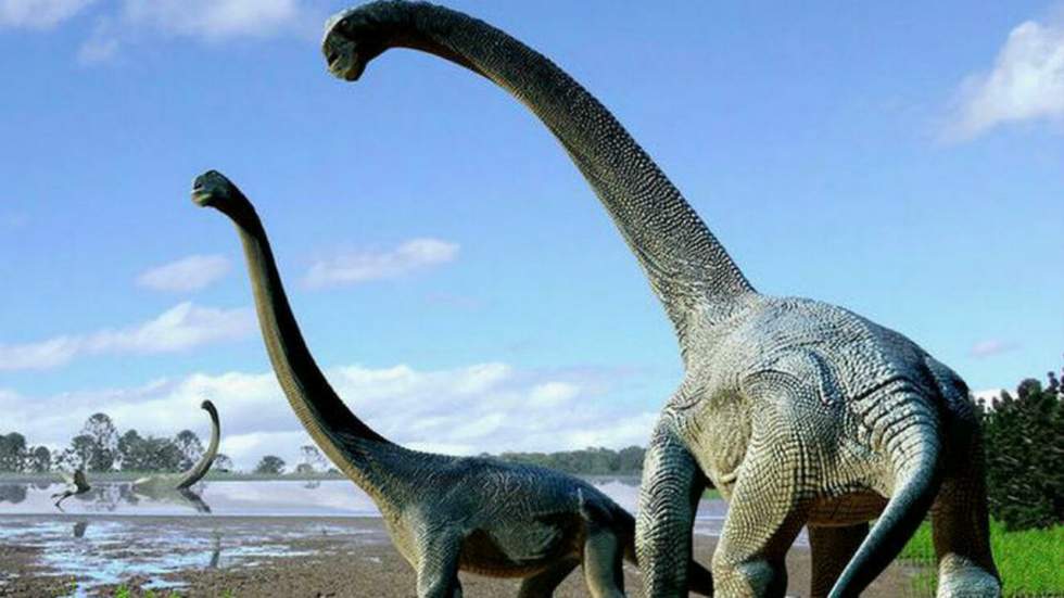 Une nouvelle espèce de dinosaure géant a été découverte en Australie