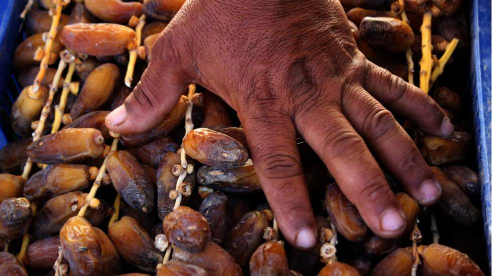 Tunisie : entre quelles mains tomberont les dattes de l’oasis de Jemna ? Tunisie : entre quelles mains tomberont les dattes de l’oasis de Jemna ?