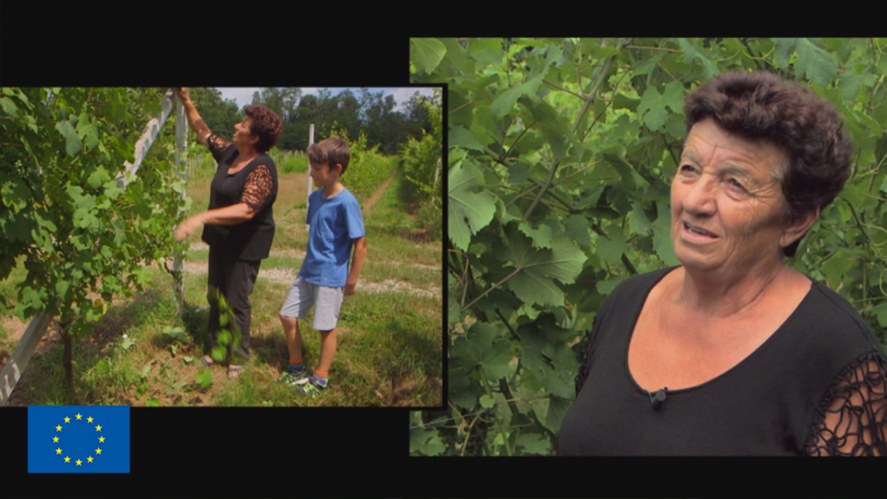 Italie du Nord : dur labour pour les jeunes agriculteurs Italie du Nord : dur labour pour les jeunes agriculteurs