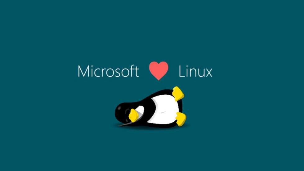 Microsoft ❤ Linux : un mariage de raison