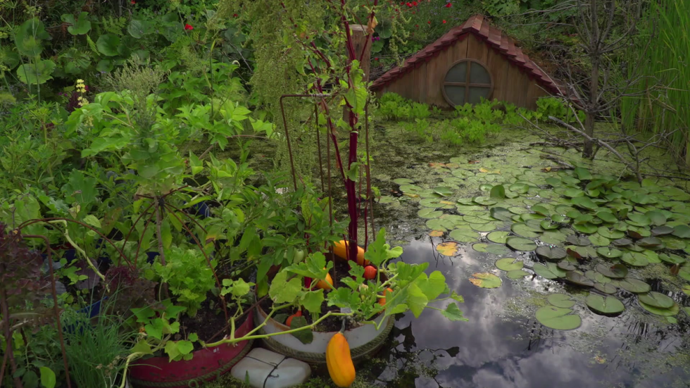 À Chaumont-sur-Loire, où poussent les jardins de demain