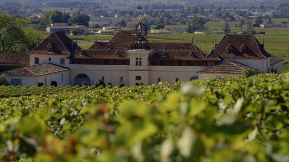 Saint-Émilion : à la découverte d’un vignoble d’exception