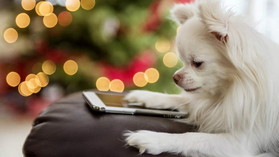 5 cadeaux de dernière minute à acheter en ligne pour Noël (garantie sans box et bon pour un massage) 5 cadeaux de dernière minute à acheter en ligne pour Noël (garantie sans box et bon pour un massage)