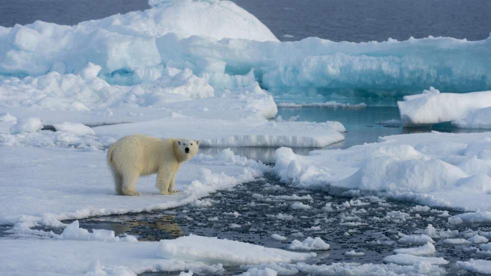 L'environnement en 2016 : oui, il y a quelques bonnes nouvelles