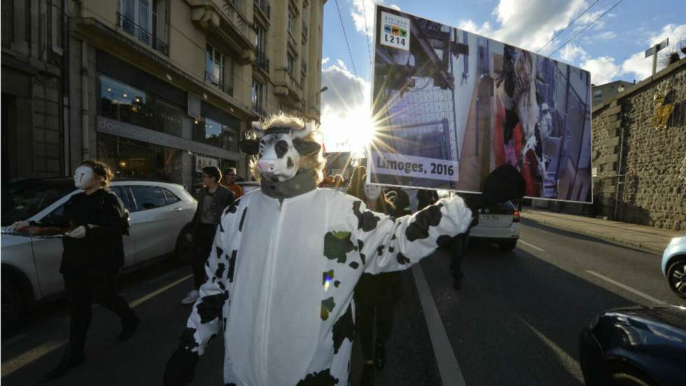 France : Les caméras dans les abattoirs, obligation insuffisante pour les défenseurs des animaux