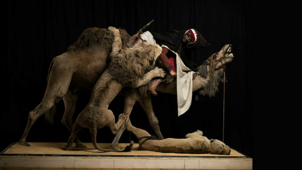 Le musée d'histoire naturelle de Pittsburgh a trouvé un vrai crâne humain sous l'un de ses mannequins du XIXe siècle