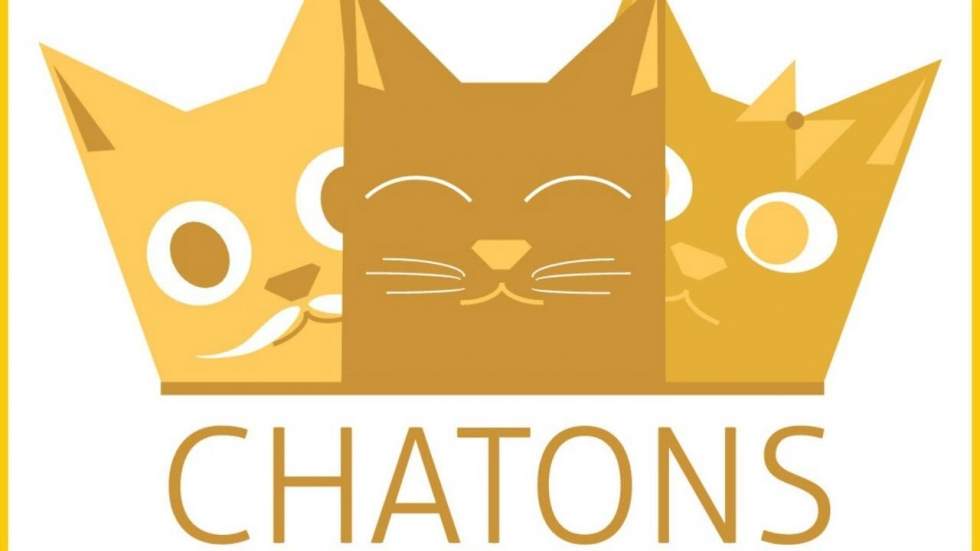 CHATONS, ces hébergeurs alternatifs qui ne collectent pas vos données personnelles