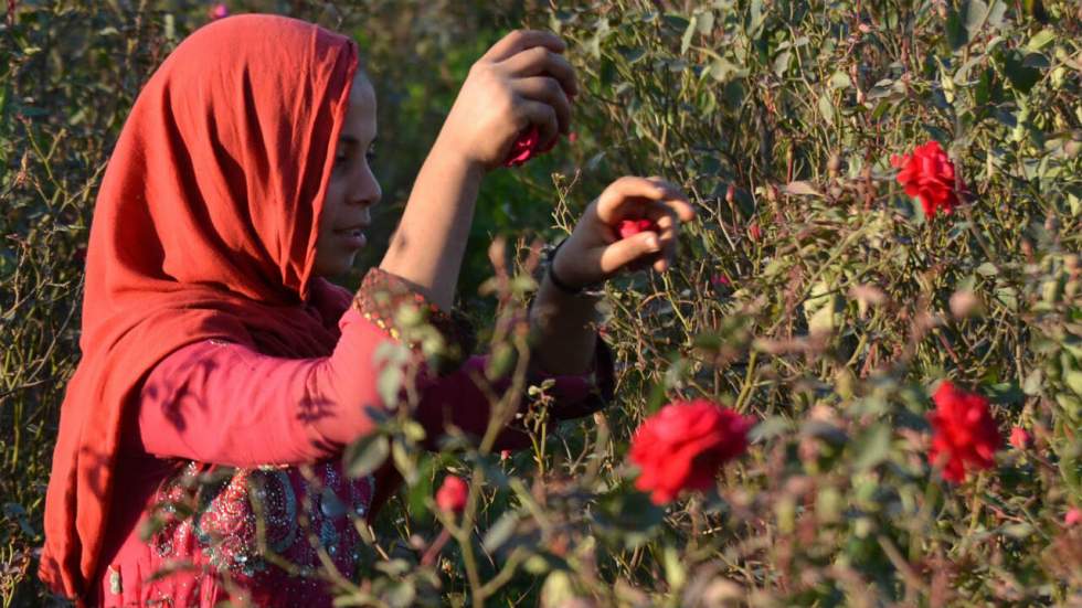 Le Pakistan interdit les célébrations de la Saint-Valentin