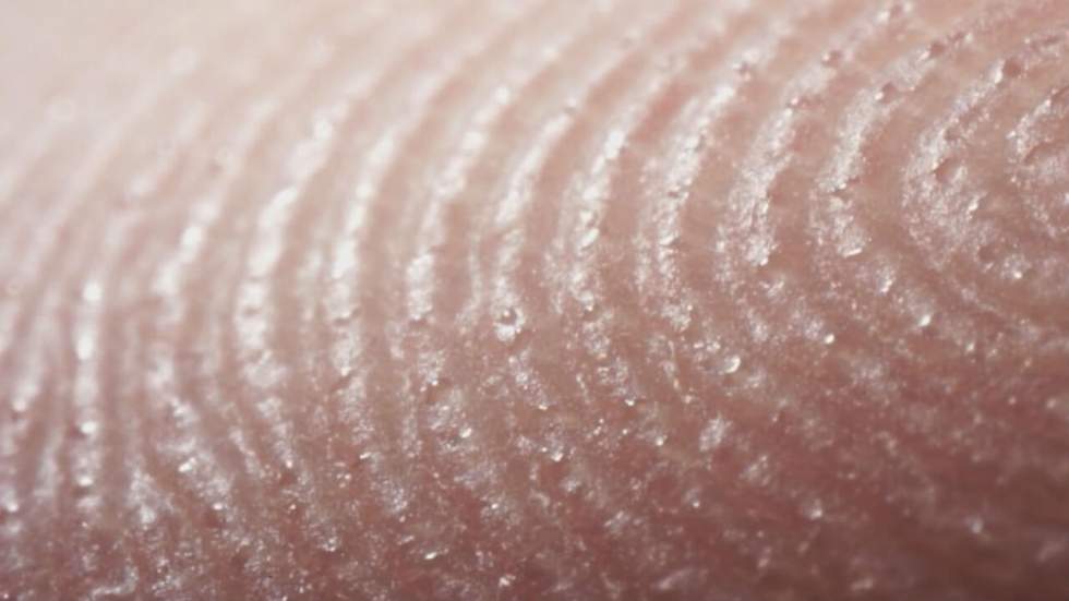 Voilà à quoi ressemble de (très, très) près un doigt qui sue