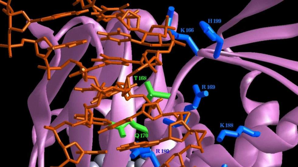 Le stockage des données sur ADN est une technique super efficace mais encore onéreuse Le stockage des données sur ADN est une technique super efficace mais encore onéreuse