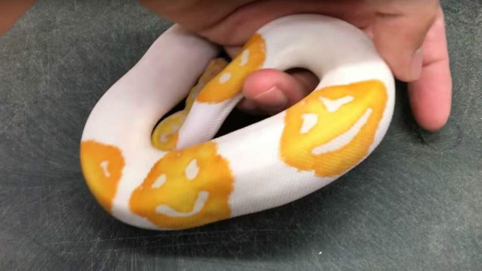 Si t’es un serpent et que t’as pas d’emojis sur tes écailles en 2017, t’as raté ta vie Si t’es un serpent et que t’as pas d’emojis sur tes écailles en 2017, t’as raté ta vie