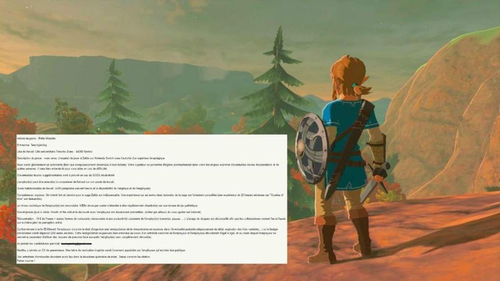 Offre d'emploi : jeune étudiant tétraplégique recherche "prête-manette" pour jouer à Zelda devant lui