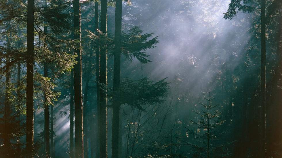 La découverte d'un village plusieurs fois millénaire bouleverse l'histoire du peuplement de l'Amérique