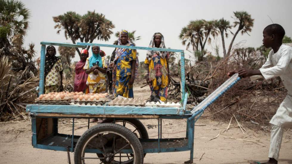 Nigeria : les enfants oubliés de Damasak, enlevés par Boko Haram