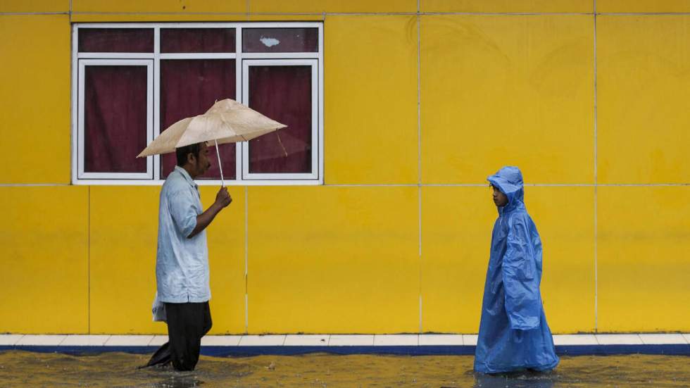 Le nombre de lois pour lutter contre le réchauffement climatique a explosé en 20 ans