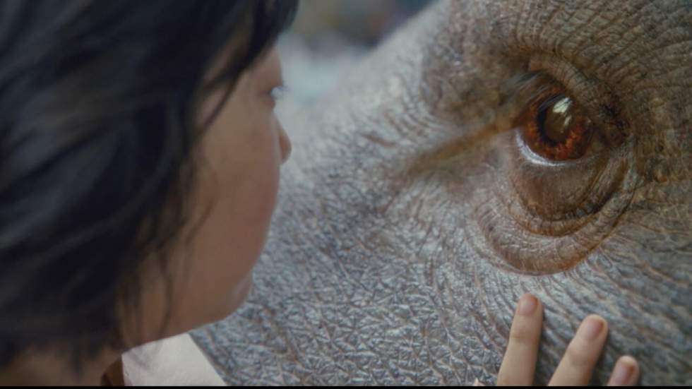 Netflix débarque sur la Croisette avec la fable fantastique "Okja"