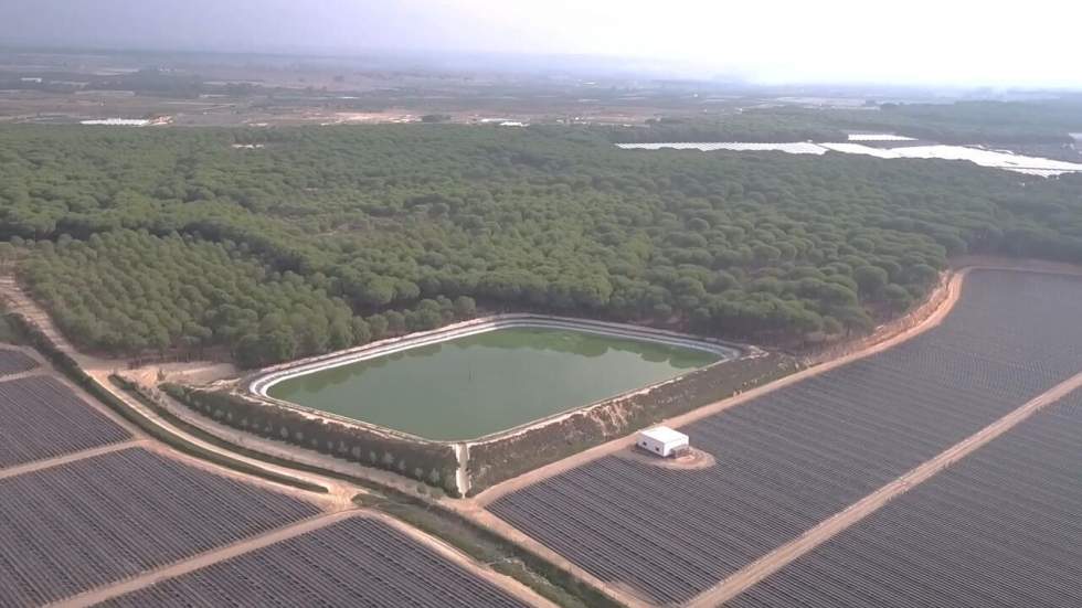 En Espagne, le parc paradisiaque de Doñana meurt de soif