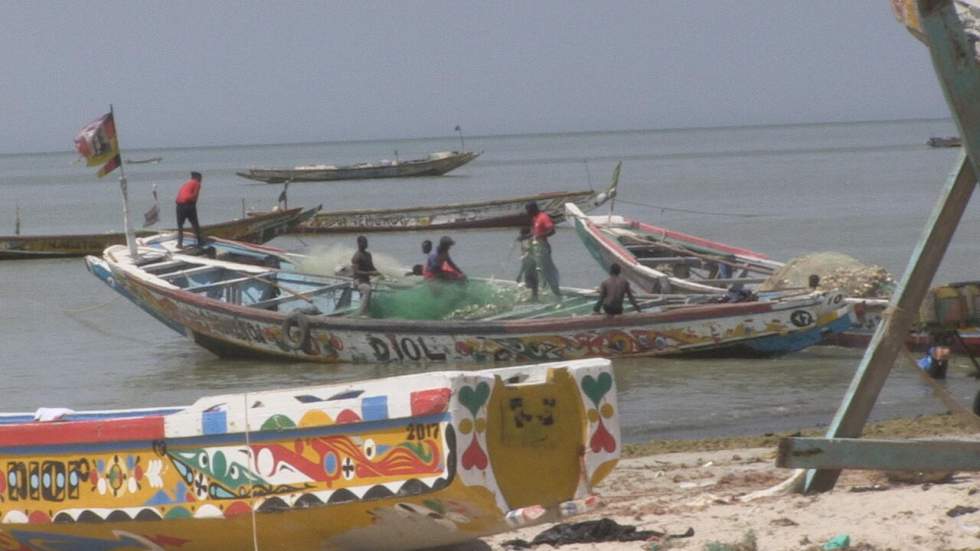 Afrique de l'Ouest : un navire pour lutter contre le pillage de la pêche