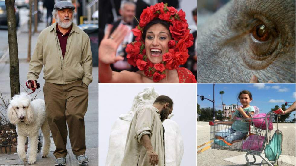 Cannes, jour 11 : le palmarès des prix qui n'existent pas