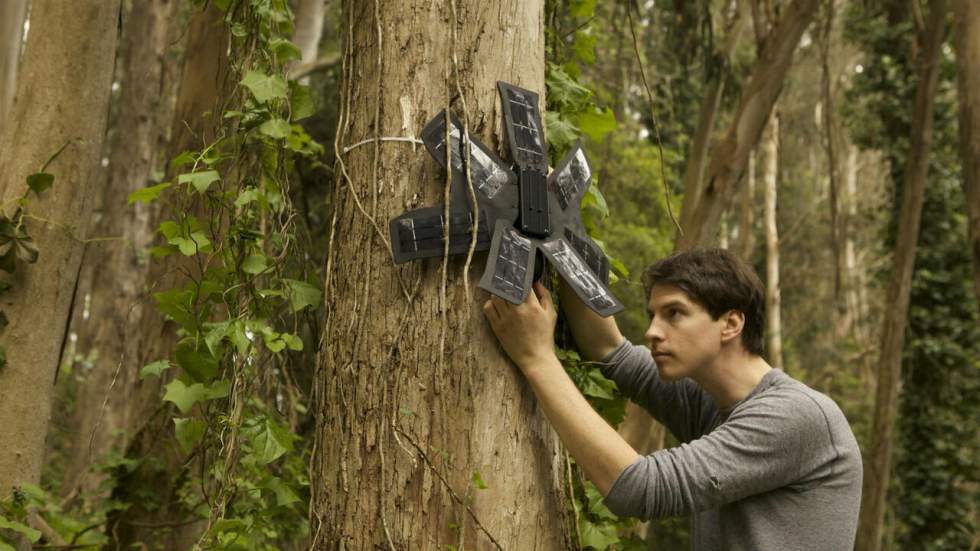 Des téléphones portables pour sauver la forêt : l'incroyable solution anti-déforestation d'un jeune ingénieur