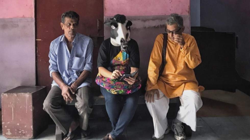 Inde : les vaches, plus sacrées que les femmes ?