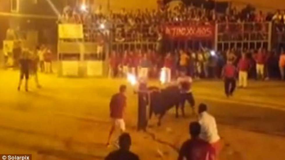 Désorienté par ses cornes en feu, un taureau se tue devant des centaines de spectateurs