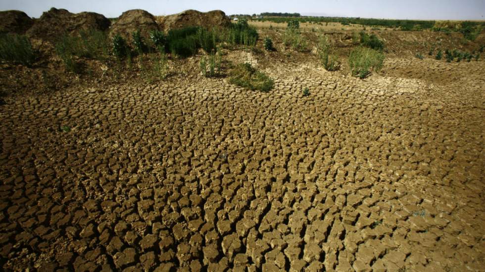 À partir du 2 août, l’humanité utilise les ressources de la Terre à crédit