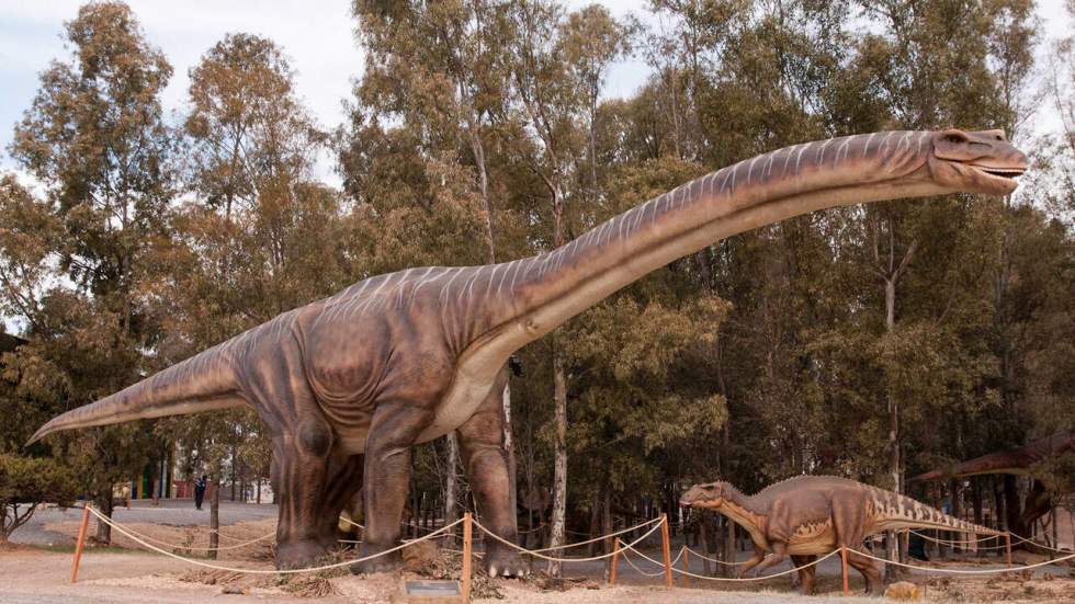 On vous présente le Patagotitan mayorum, un mignon petit dino long comme 7 éléphants