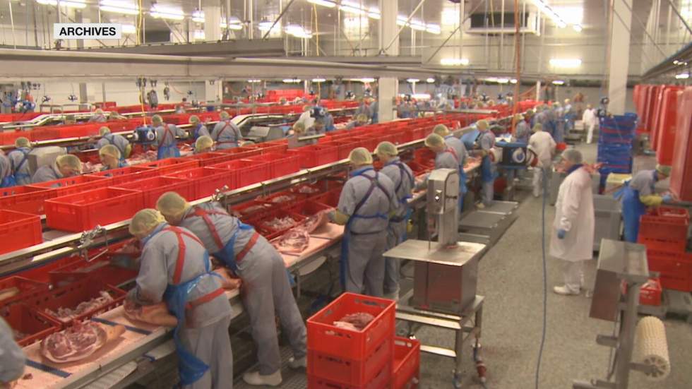 Allemagne : vers la fin du "dumping social" dans les abattoirs ?