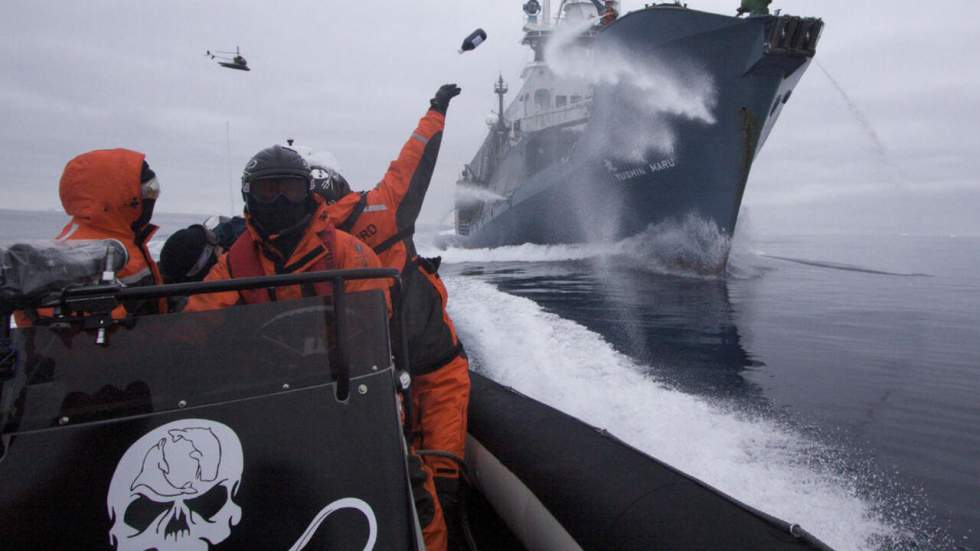 Sea Shepherd ne fait plus le poids face à la "technologie militaire" des baleiniers japonais Sea Shepherd ne fait plus le poids face à la "technologie militaire" des baleiniers japonais