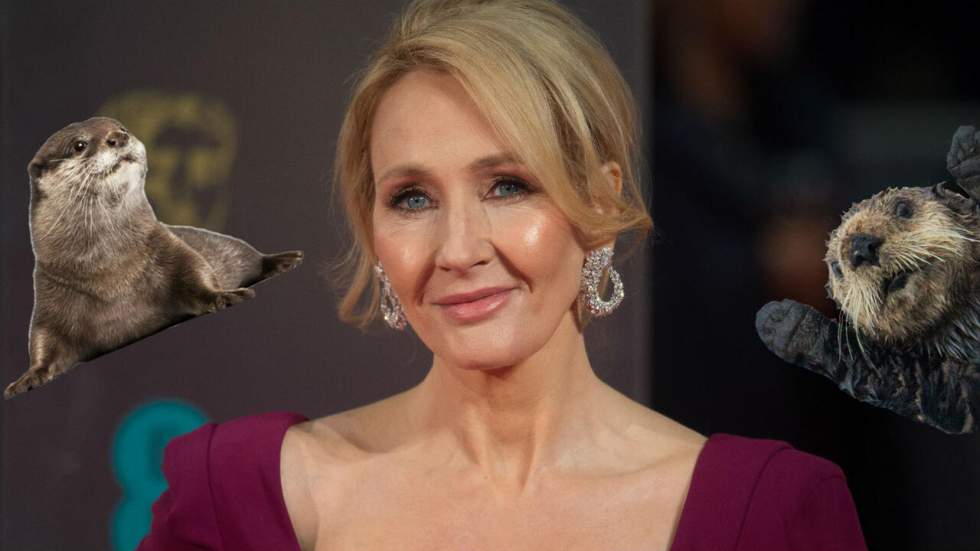 Il y a des loutres partout sur Twitter et c'est la faute de J.K. Rowling