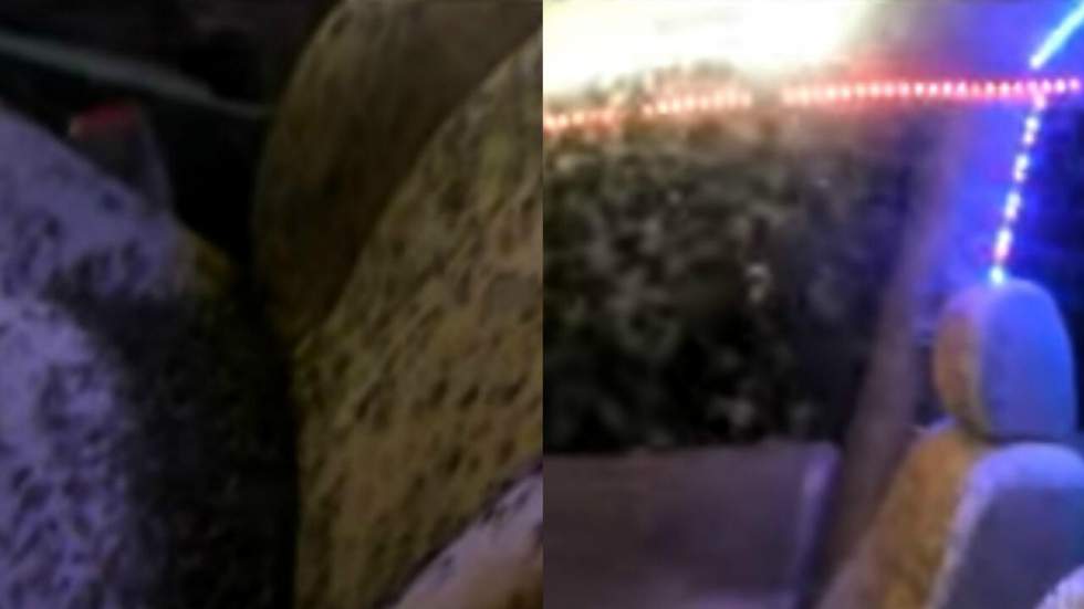 Bienvenue dans l’antre de l’Enfer : une voiture-discothèque envahie par des milliers de moustiques Bienvenue dans l’antre de l’Enfer : une voiture-discothèque envahie par des milliers de moustiques