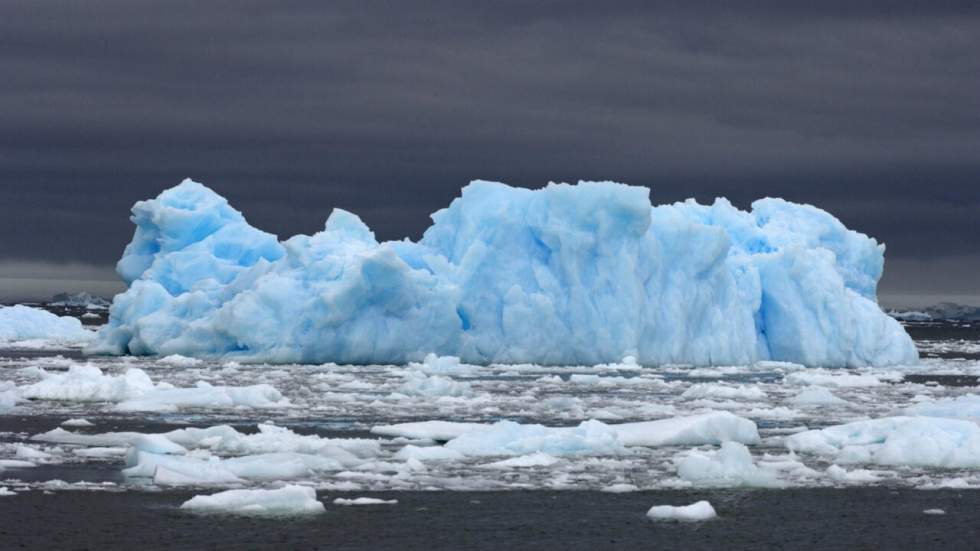 Une forêt fossilisée vieille de 280 millions d'années a été découverte en Antarctique